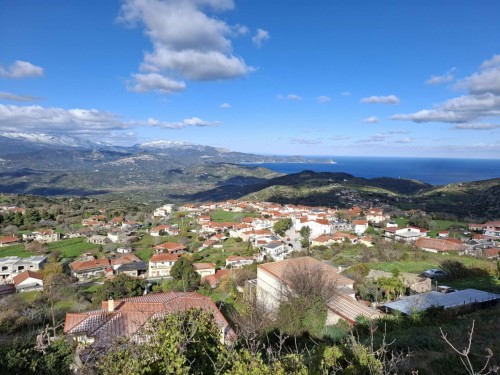 Πρωτοχρονιάτικη Θεία Λειτουργία στη Μητρόπολη Καρυστίας gallery image 12