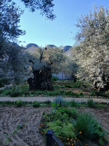 Προσκύνημα στους Αγίους Τόπους gallery image 30